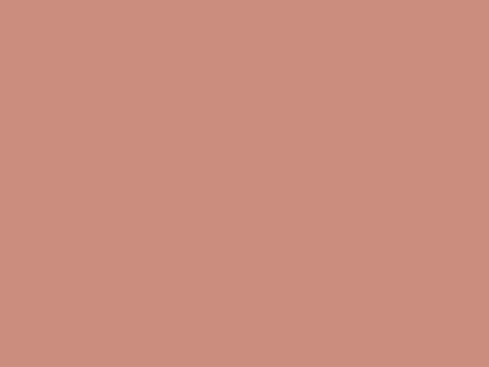 Abstract coral placeholder for a community book drive